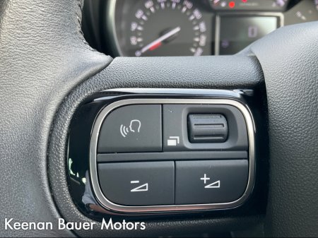 2019 Citroen C3 - photo 14