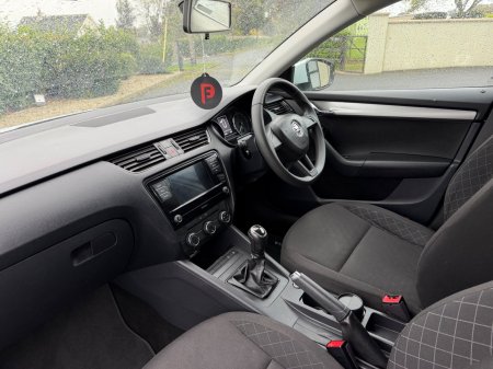 2019 Skoda Octavia - photo 15