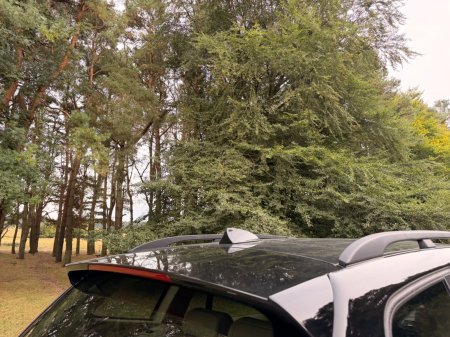 2007 BMW X3 - photo 42