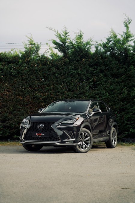 2019 Lexus NX 300h F-Sport AWD