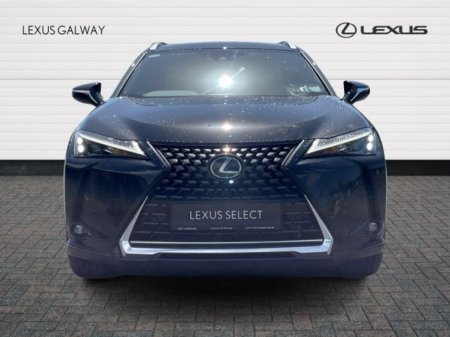 2024 Lexus UX - photo 4