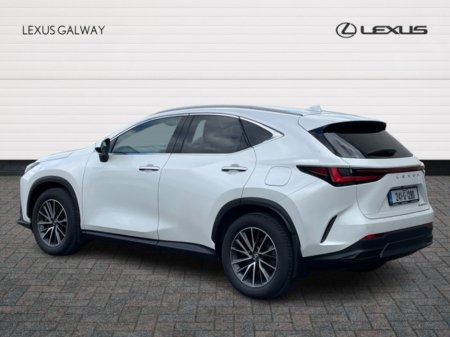 2024 Lexus NX - photo 2