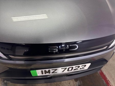 2025 BYD Other - photo 28