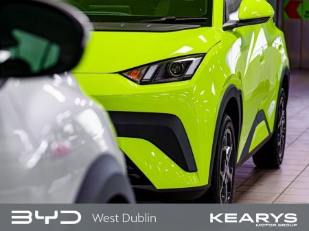 2026 BYD DOLPHIN SURF - photo 20