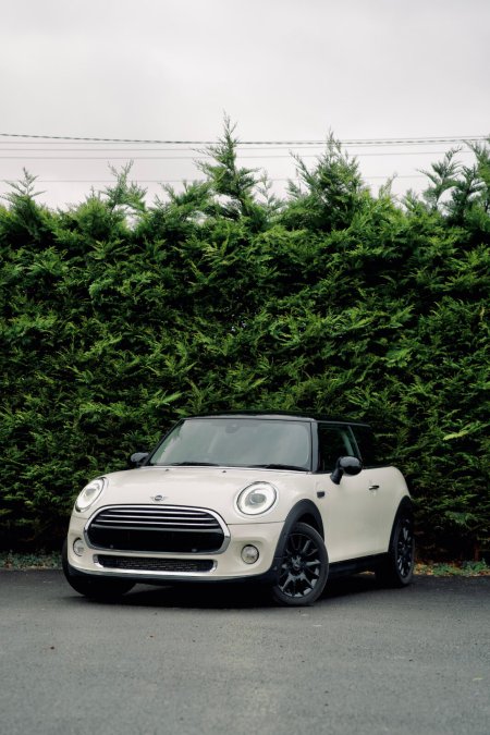2019 Mini Cooper
