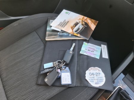 2019 Skoda Octavia - photo 16