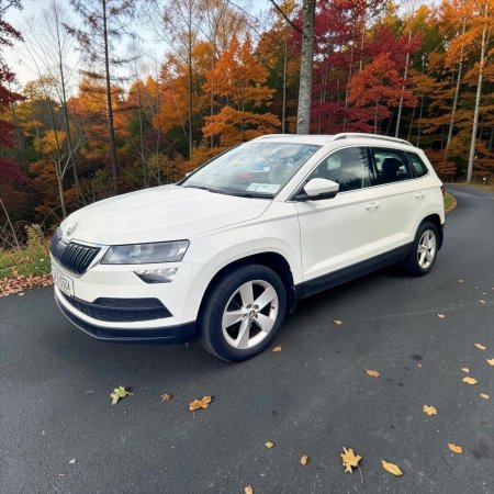 2021 Skoda Karoq - photo 5