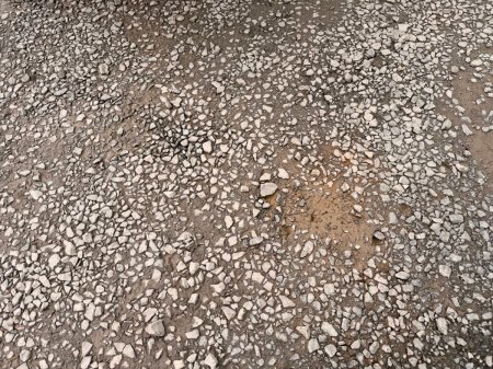 0 Other Other - photo 15