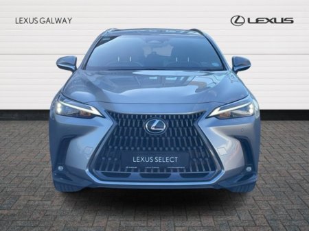 2024 Lexus NX - photo 4