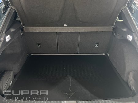 2026 Cupra Terramar - photo 12