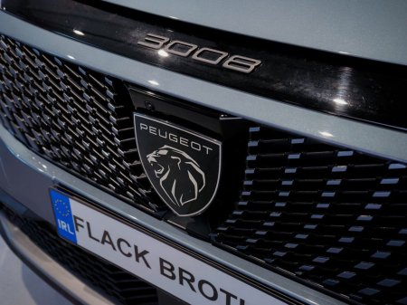 2025 Peugeot 3008 - photo 8