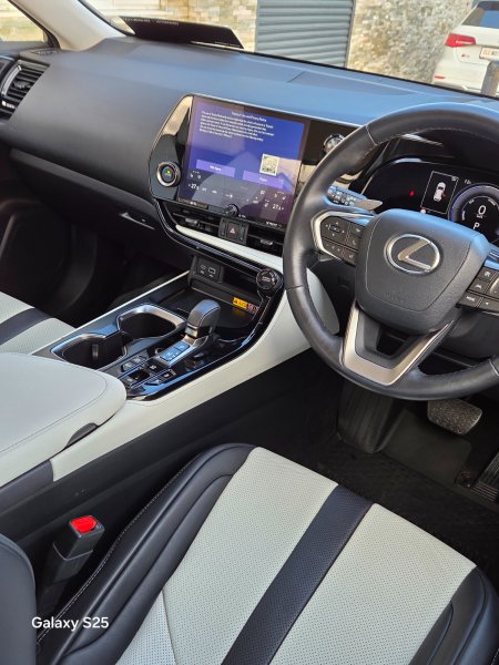 2025 Lexus NX - photo 13