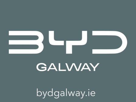 2026 BYD DOLPHIN - photo 4