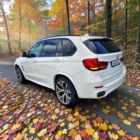 2019 BMW X5 - photo 11