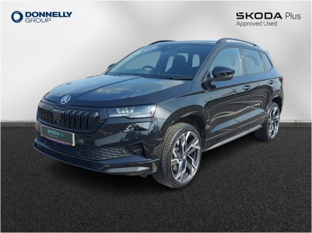 2025 Skoda Karoq - photo 10