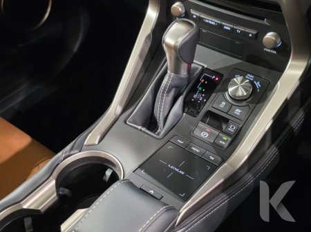 2019 Lexus NX - photo 21