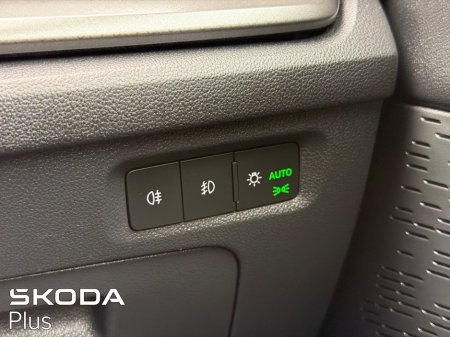 2023 Skoda Octavia - photo 17