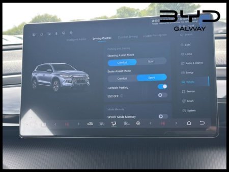 2026 BYD SEALION 5 - photo 24