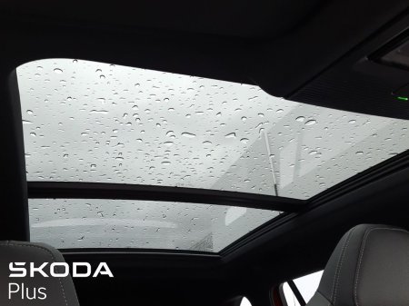 2026 Skoda Kodiaq - photo 19