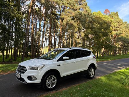 2019 Ford Kuga - photo 3