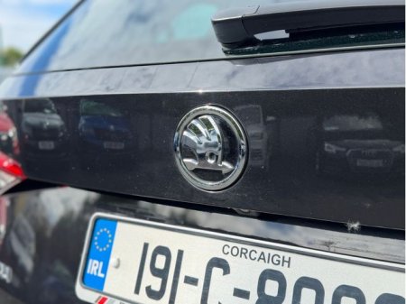 2019 Skoda Kodiaq - photo 14