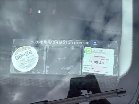 2018 Skoda Octavia - photo 23