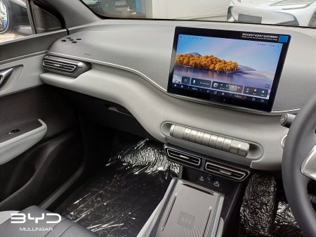 2026 BYD DOLPHIN SURF - photo 9
