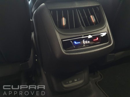 2026 Cupra Tavascan - photo 21
