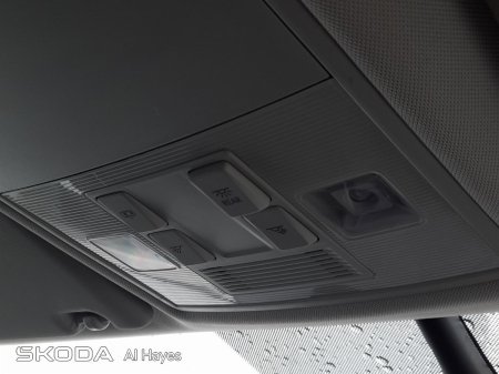 2021 Skoda Kodiaq - photo 17