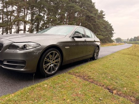 2014 BMW 5-Series - photo 41