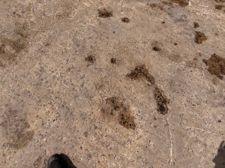 0 Other Other - photo 15