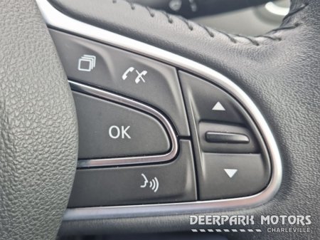 2019 Renault Megane - photo 15