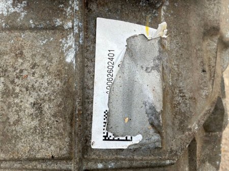 0 Other Other - photo 11