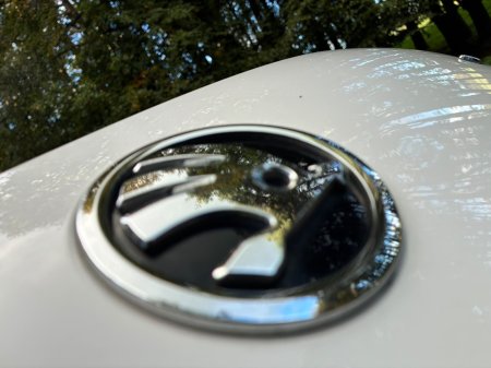2018 Skoda Octavia - photo 31