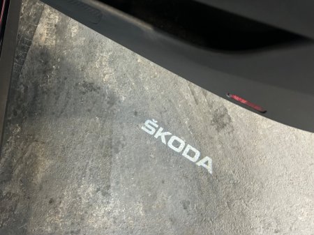 2023 Skoda Octavia - photo 17