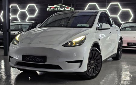 2023 Tesla Model Y RWD
