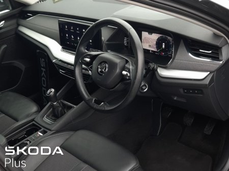 2023 Skoda Octavia - photo 5