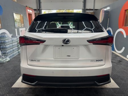 2020 Lexus NX - photo 4