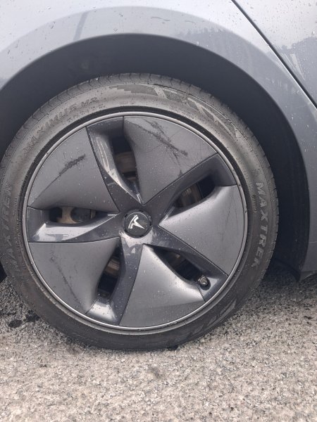 2020 Tesla Model 3 - photo 18