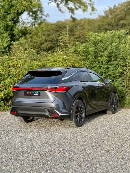 2025 Lexus RX - photo 13