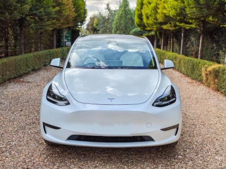 2024 Tesla Model Y - photo 2