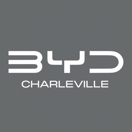 2024 BYD DOLPHIN - photo 7