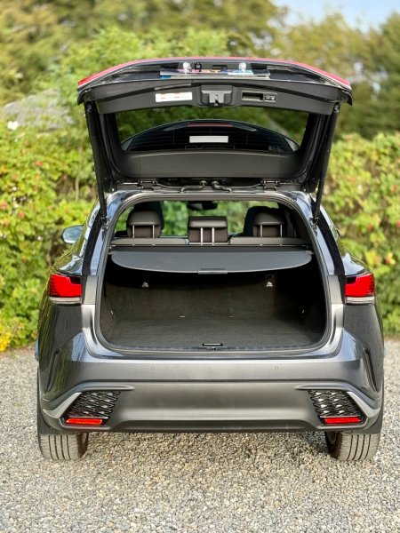 2025 Lexus RX - photo 40