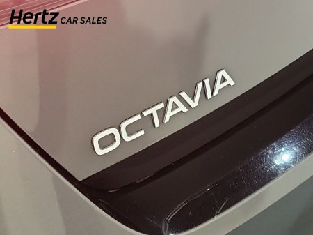 2025 Skoda Octavia - photo 11
