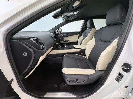 2024 Lexus NX 450h+ - photo 6