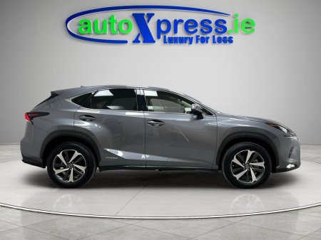 2020 Lexus NX - photo 15