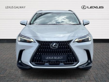 2024 Lexus NX - photo 4