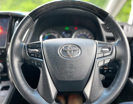 2019 Toyota Alphard - photo 25