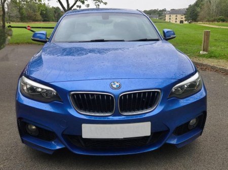 2015 BMW 2-Series - photo 3