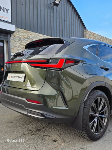 2025 Lexus NX - photo 8